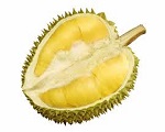 Durian Powderの重要な注意を必要とします